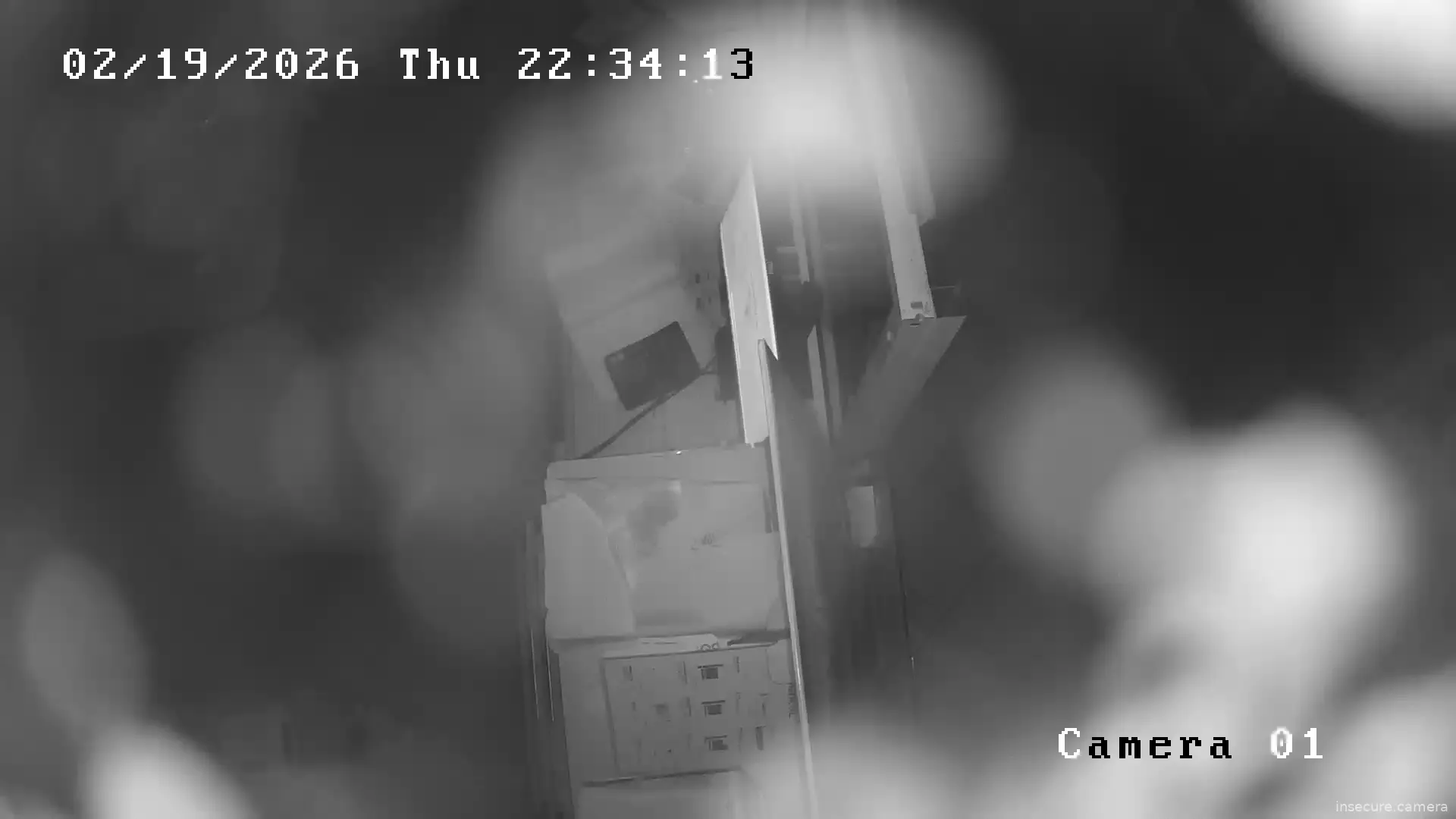 Capture from Feb 19, 2026 at 09:09 PM