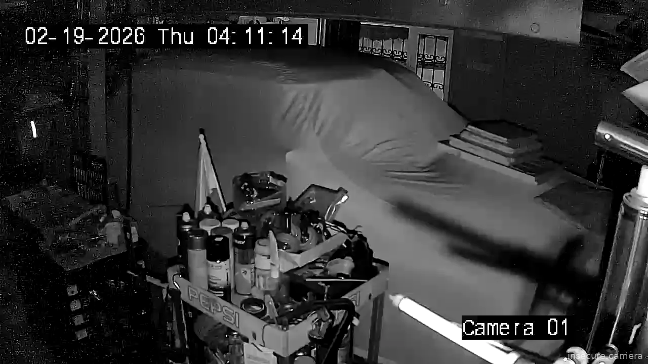 Capture from Feb 19, 2026 at 01:11 AM