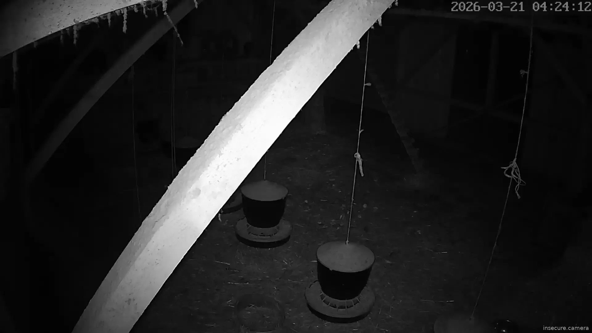 Capture from Mar 21, 2026 at 03:24 AM