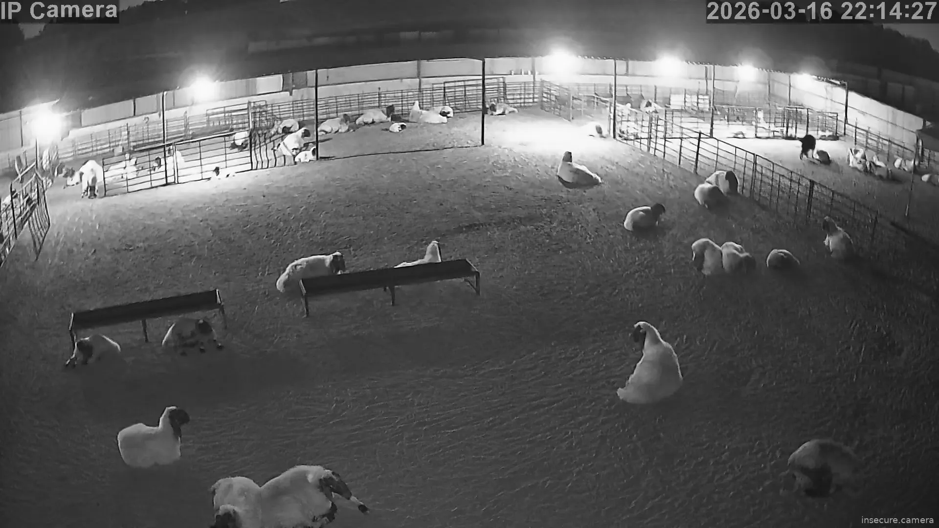 Capture from Mar 16, 2026 at 07:14 PM