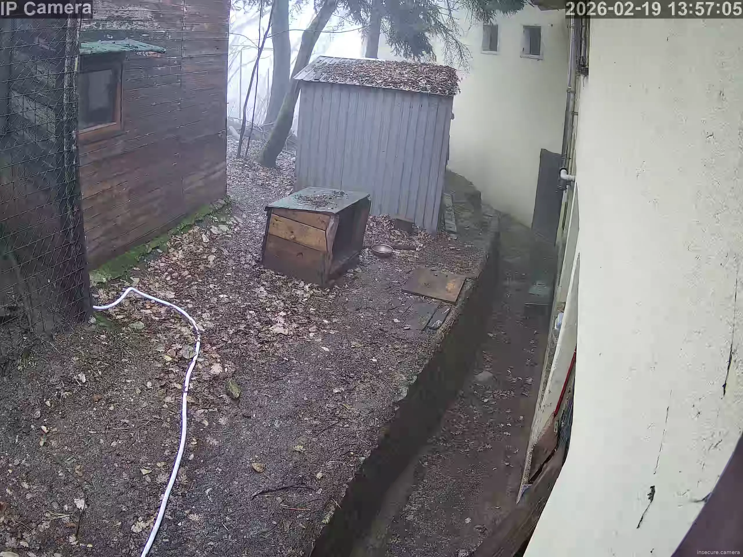 Capture from Feb 19, 2026 at 12:57 PM