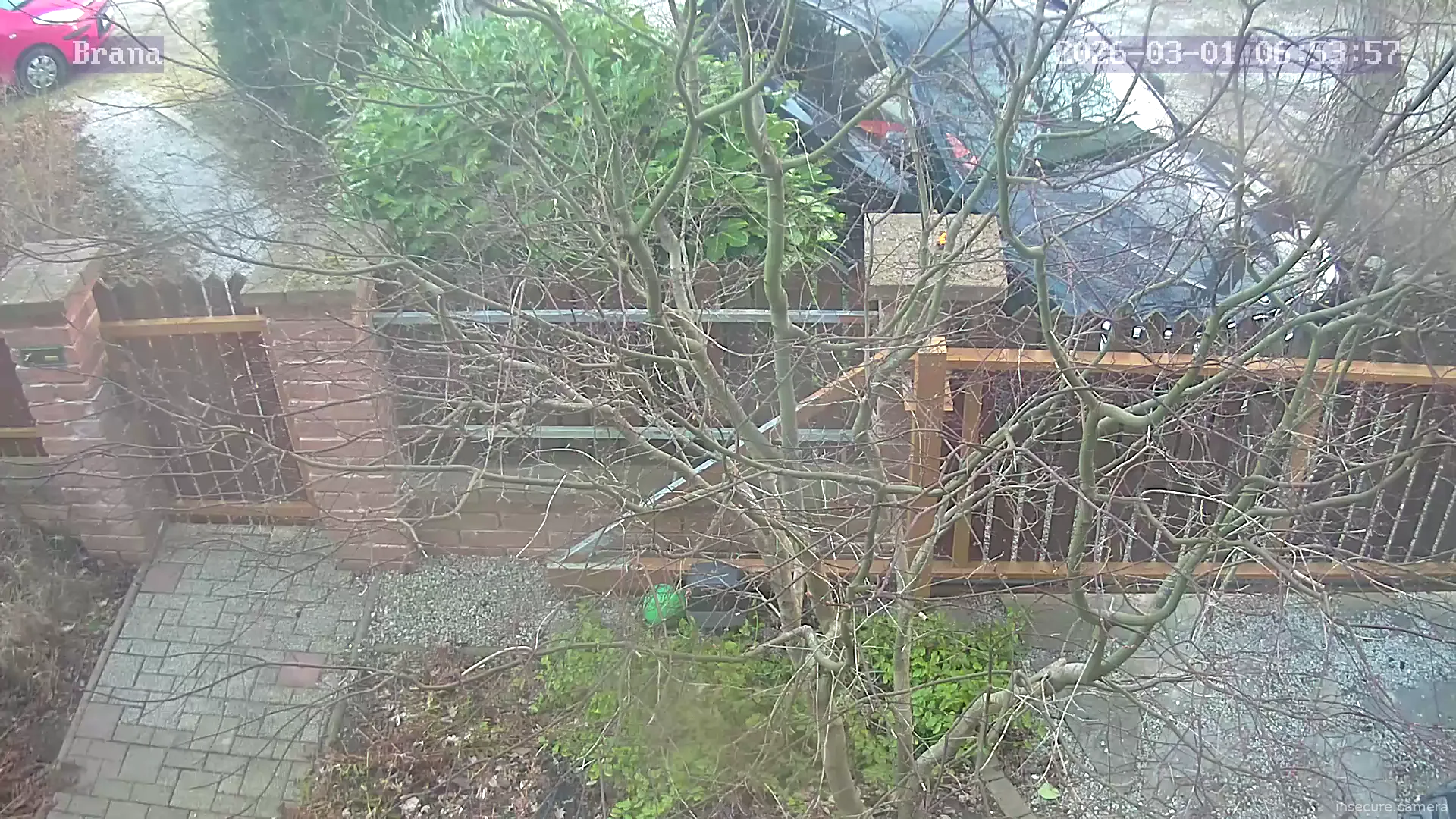 Capture from Mar 01, 2026 at 05:54 AM