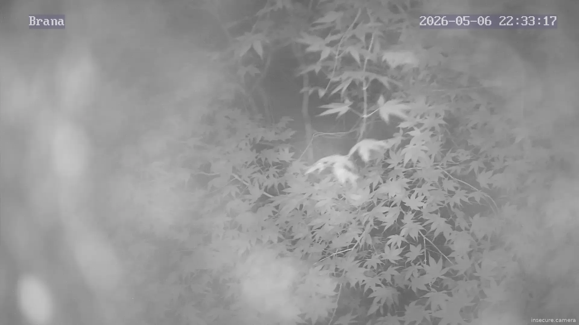 Capture from May 06, 2026 at 08:33 PM