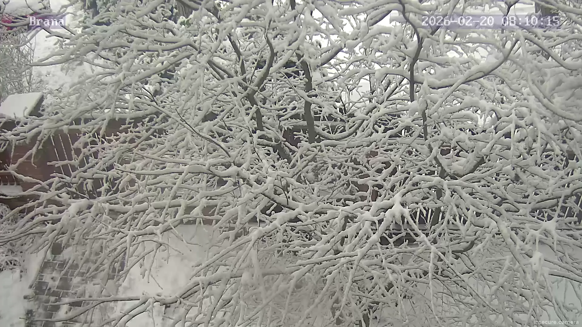 Capture from Feb 20, 2026 at 07:10 AM