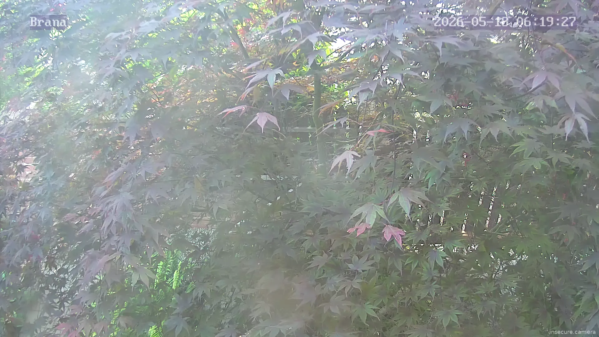 Capture from May 18, 2026 at 04:19 AM