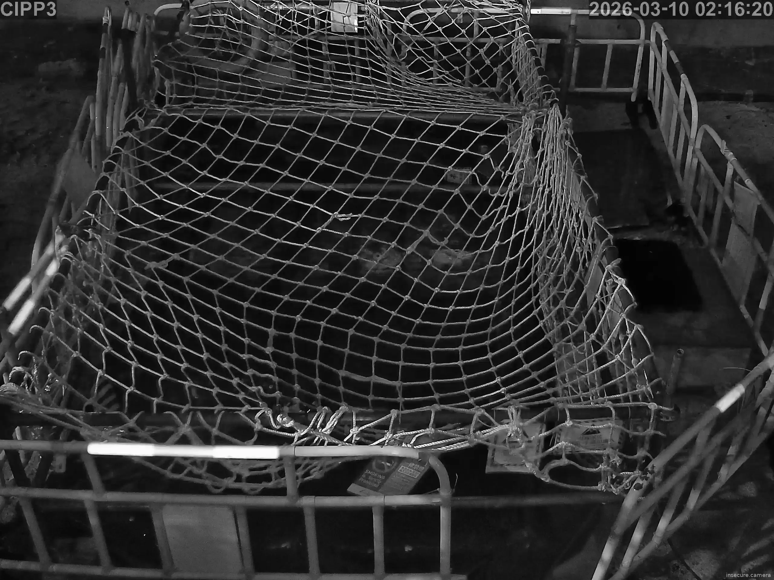 Camera in Hong Kong SAR China