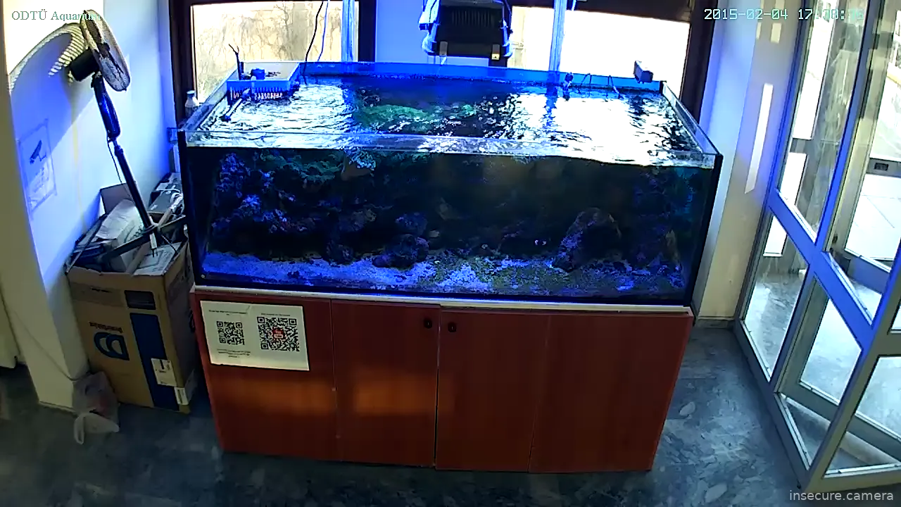 Capture from Mar 10, 2026 at 05:05 AM