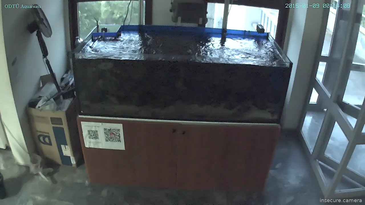Capture from May 11, 2026 at 04:57 PM