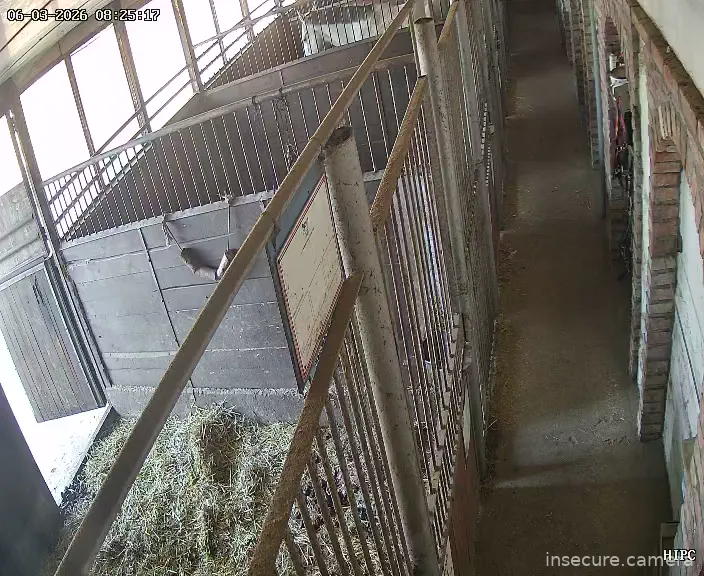 Capture from Mar 06, 2026 at 07:25 AM