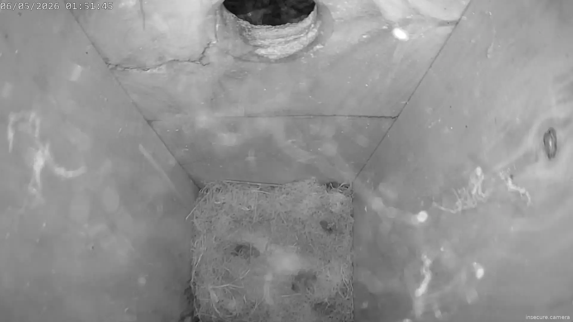 Capture from May 06, 2026 at 12:52 AM
