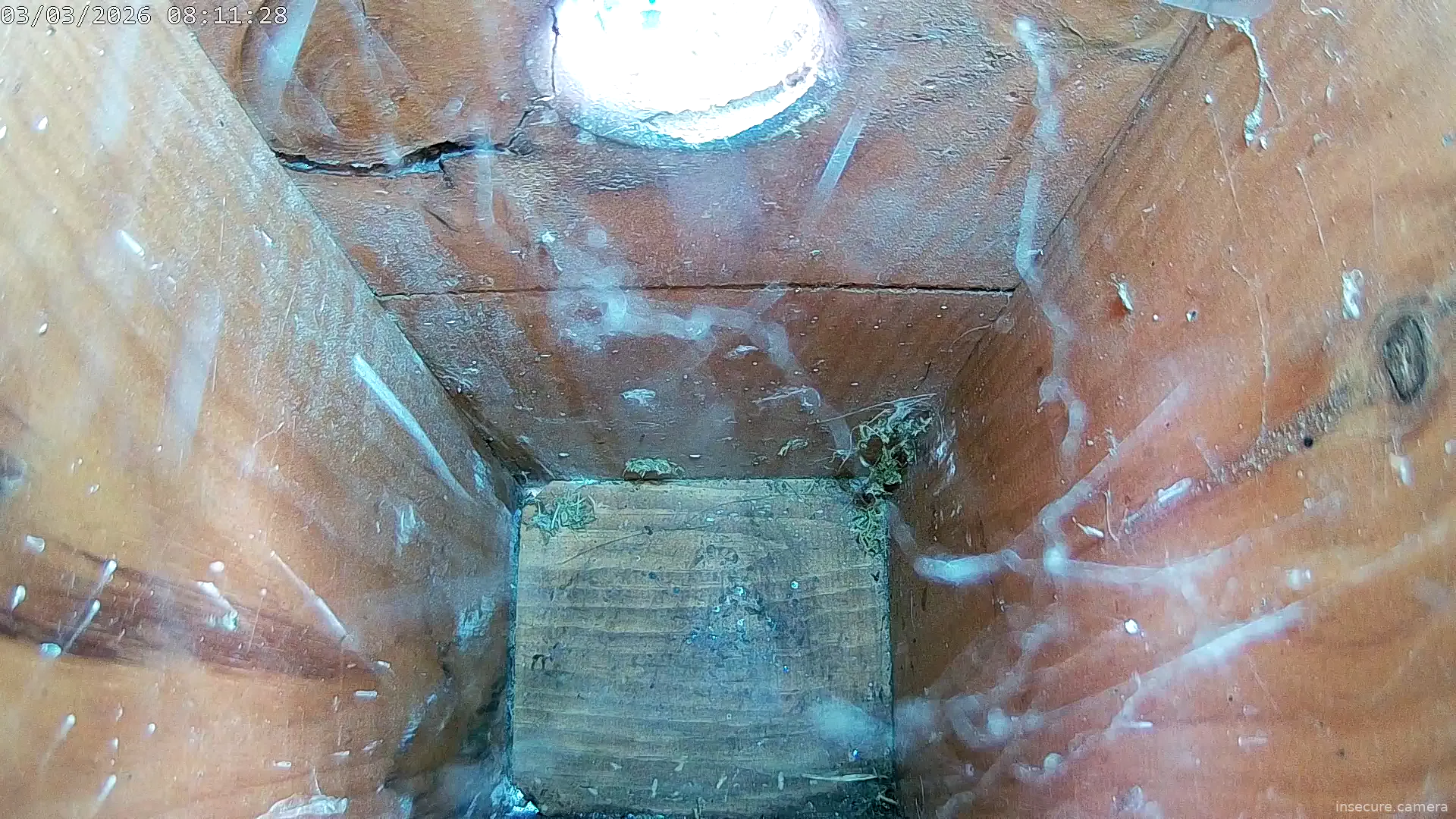 Capture from Mar 03, 2026 at 08:11 AM