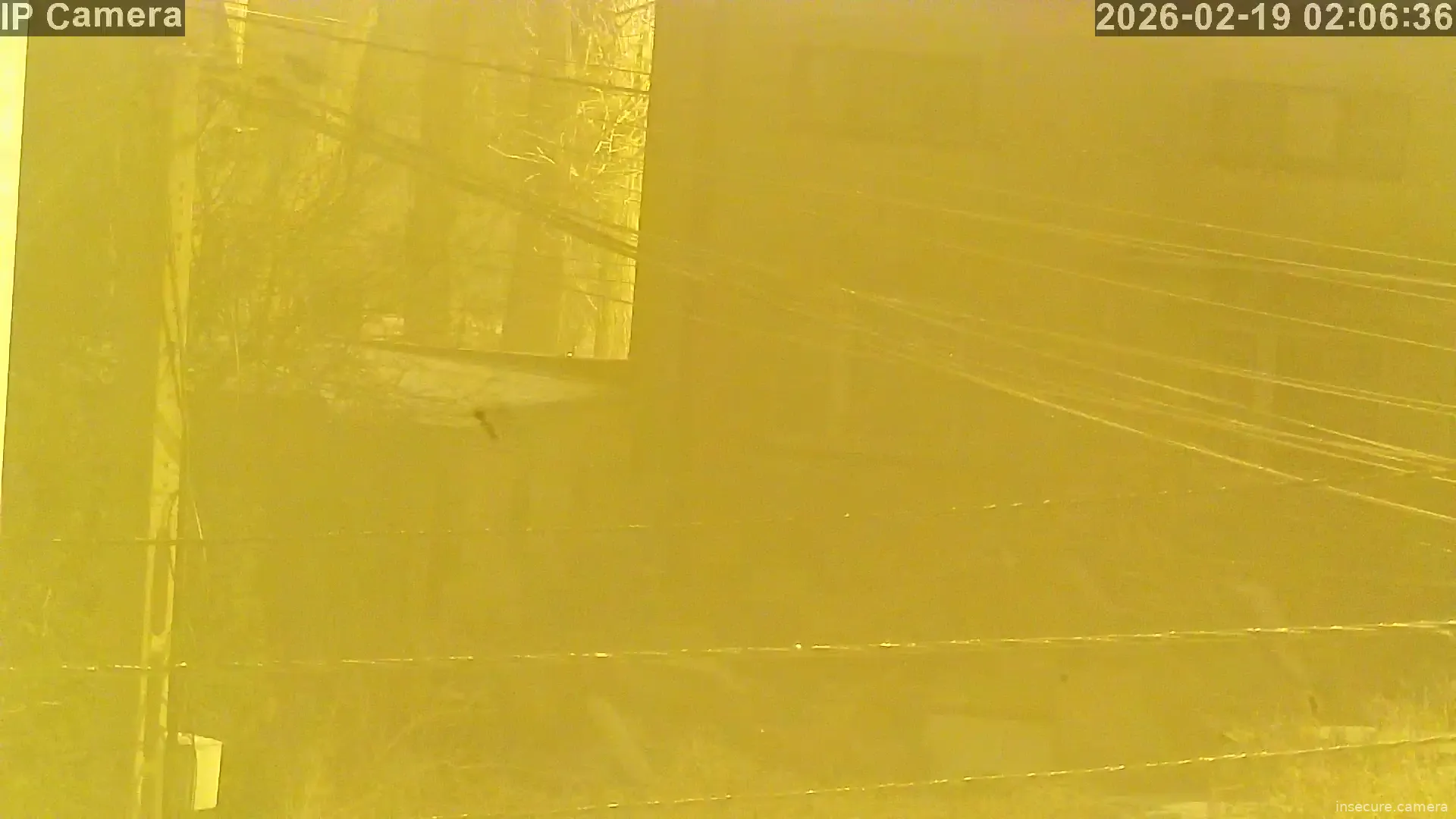 Capture from Feb 19, 2026 at 01:06 AM