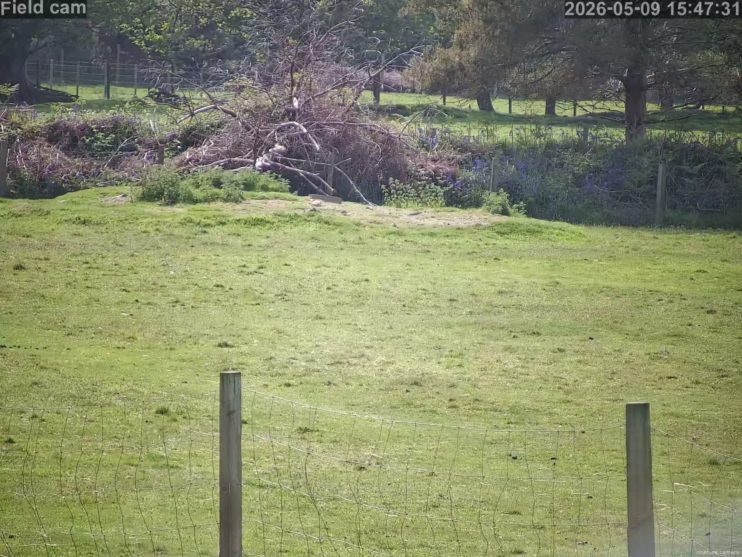 Camera in United Kingdom