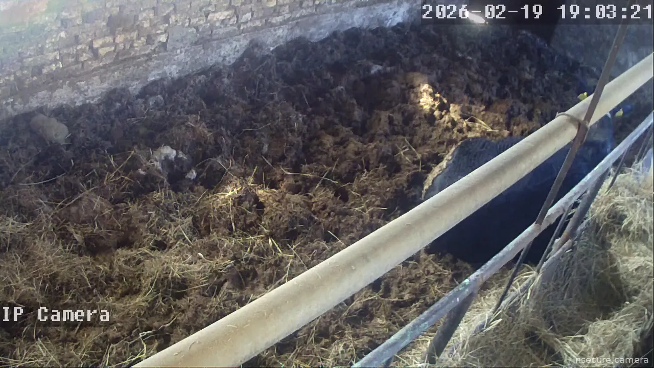 Capture from Feb 19, 2026 at 11:04 AM