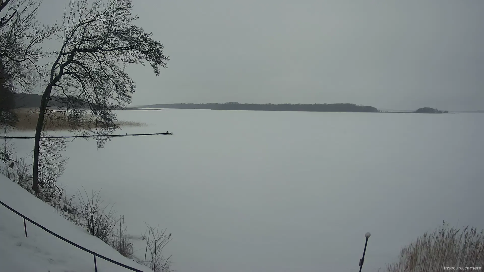 Capture from Feb 19, 2026 at 02:54 PM