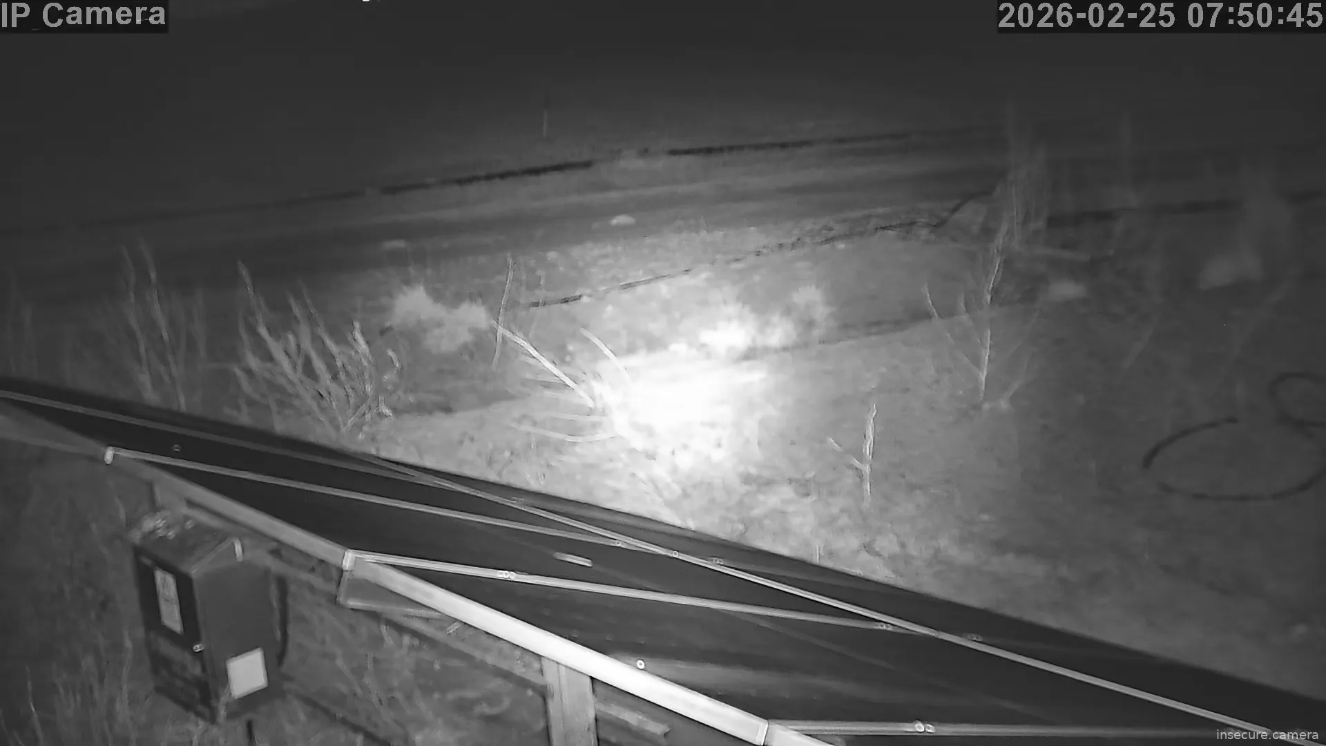 Capture from Feb 24, 2026 at 11:51 PM