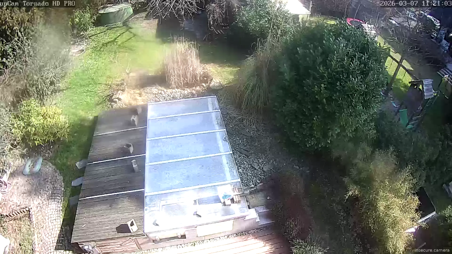 Capture from Mar 07, 2026 at 10:21 AM