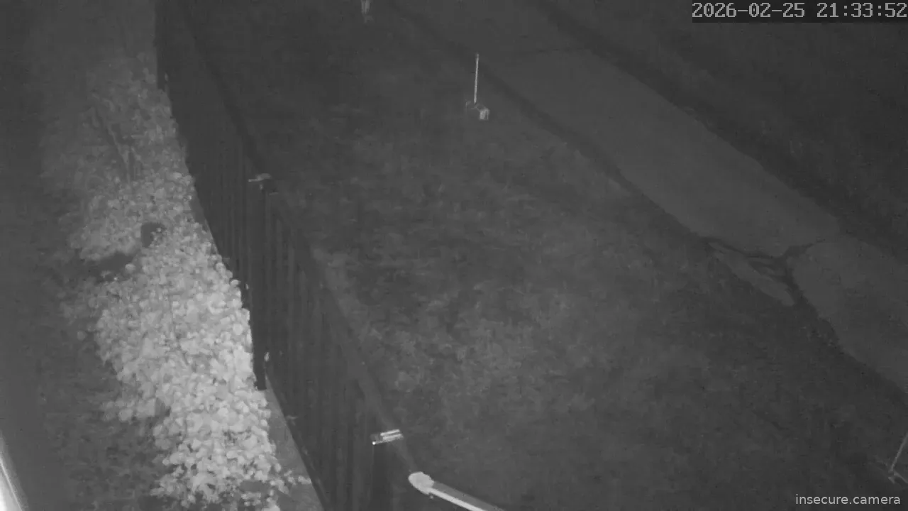 Capture from Feb 25, 2026 at 12:34 PM