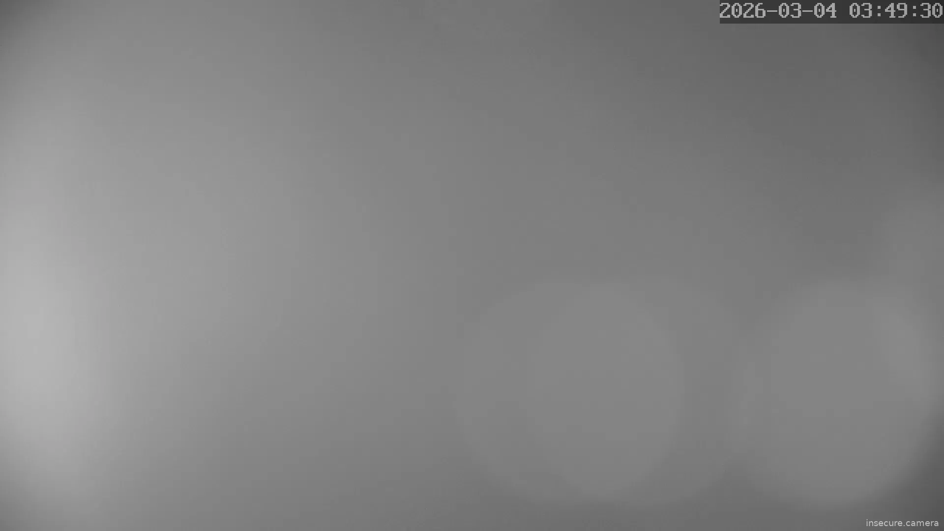 Capture from Mar 04, 2026 at 02:49 AM