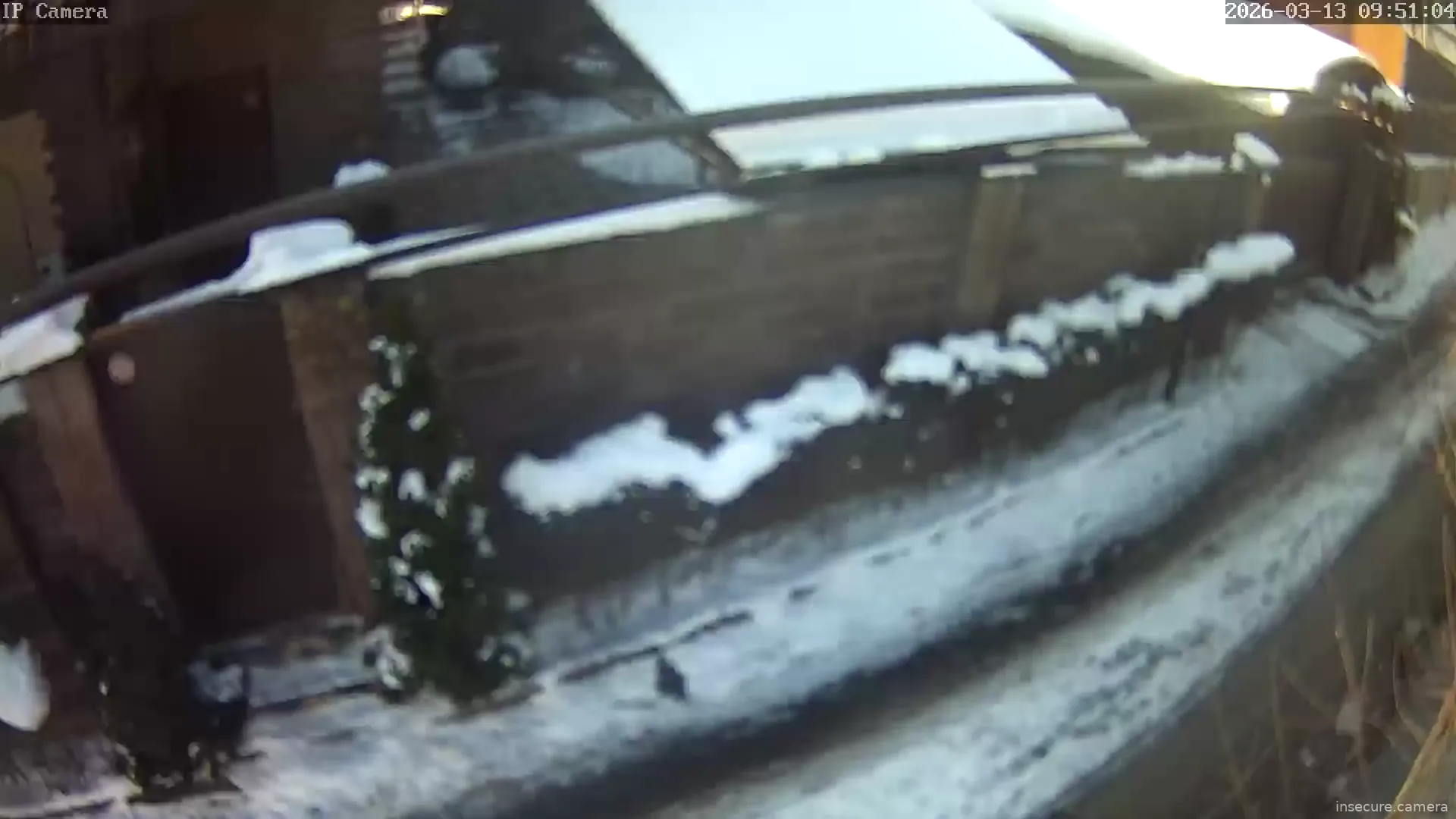 Capture from Mar 13, 2026 at 03:51 AM