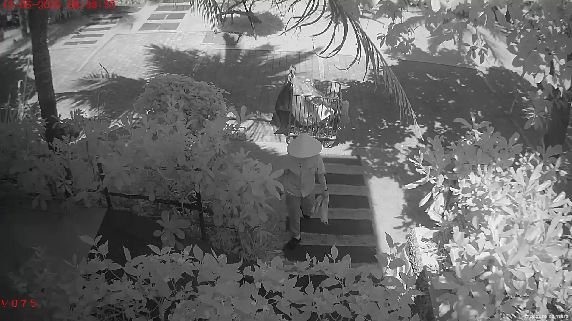 Camera in Vietnam