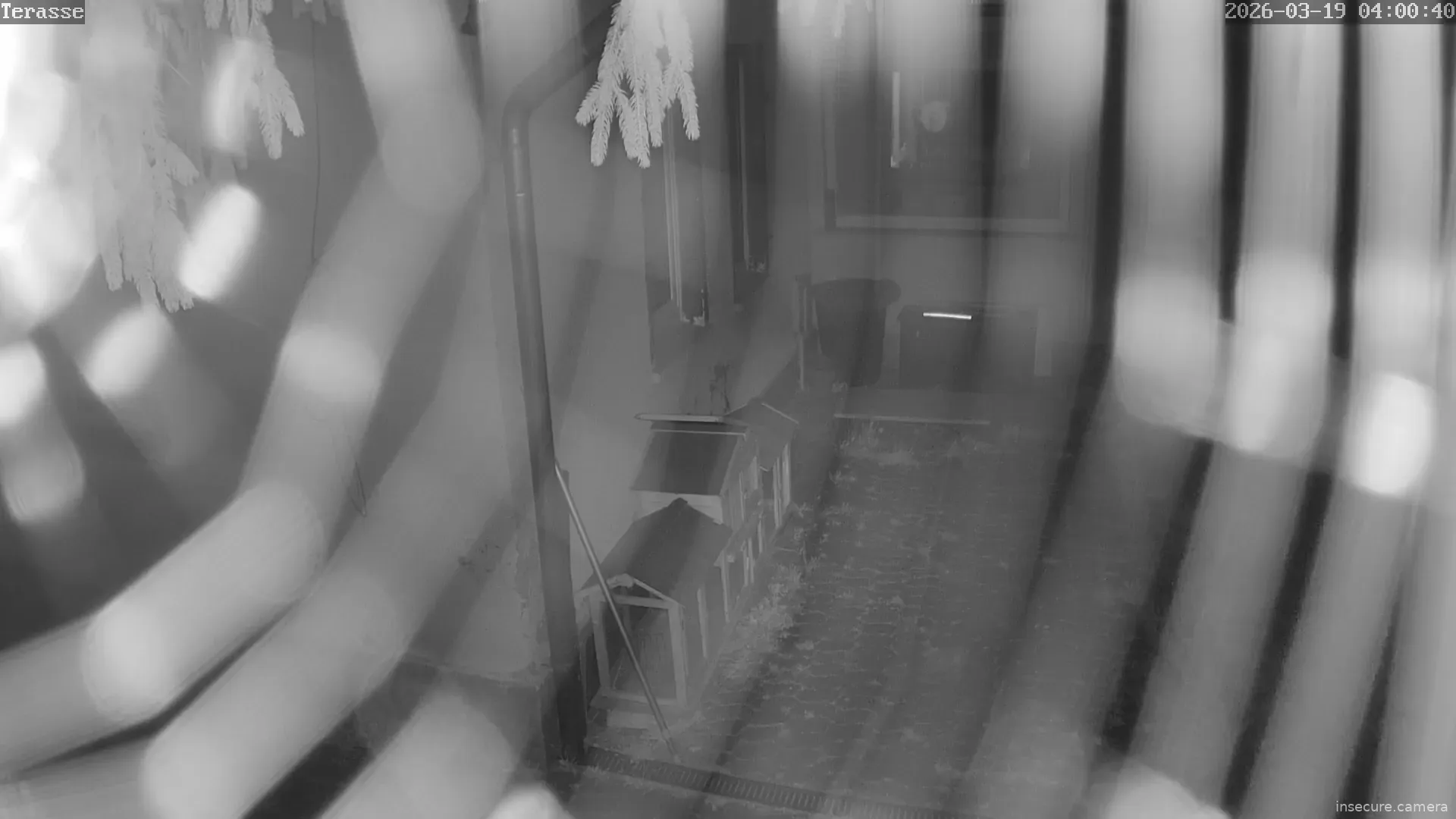 Capture from Mar 19, 2026 at 03:01 AM