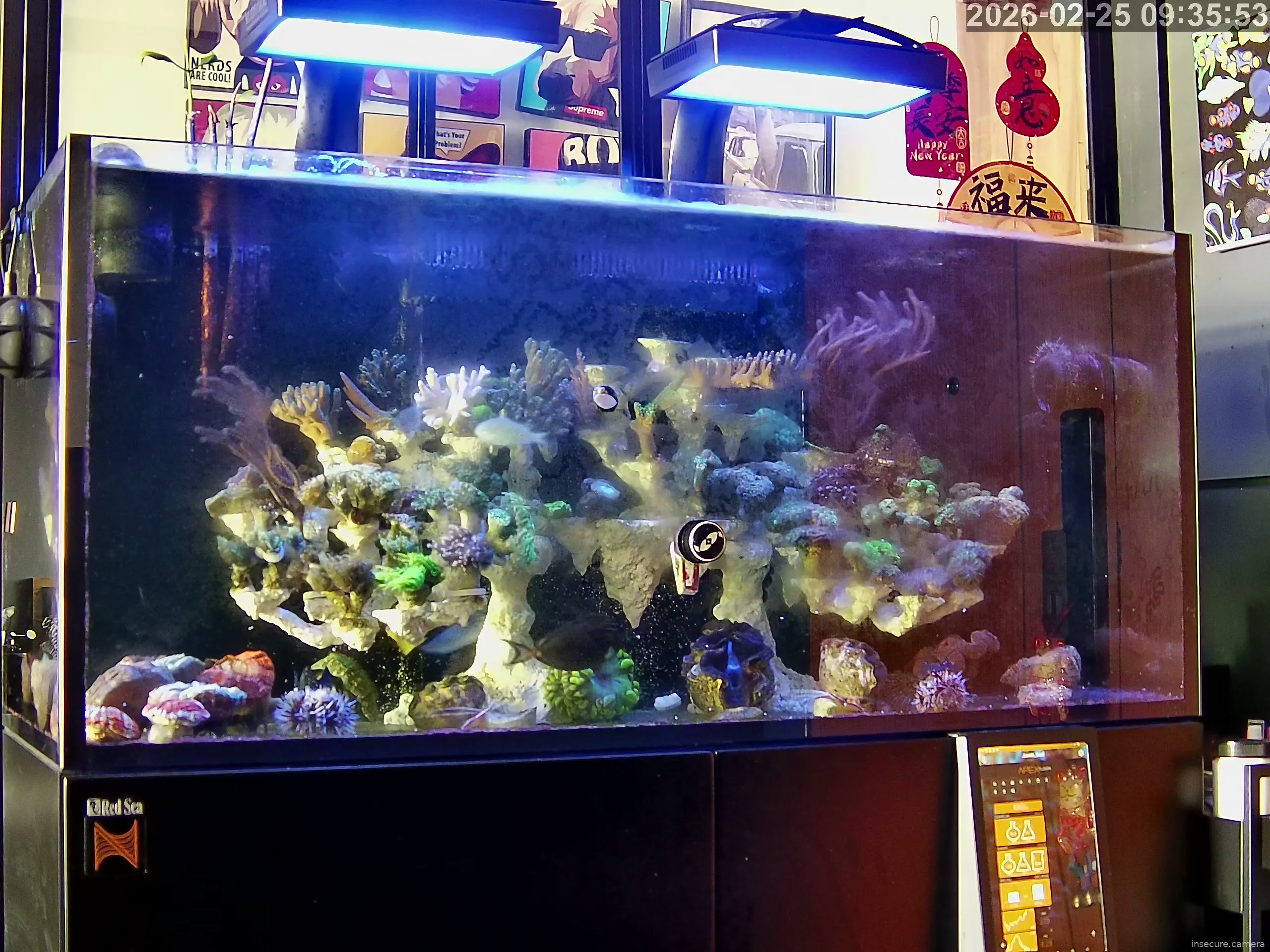 Capture from Feb 25, 2026 at 01:36 AM