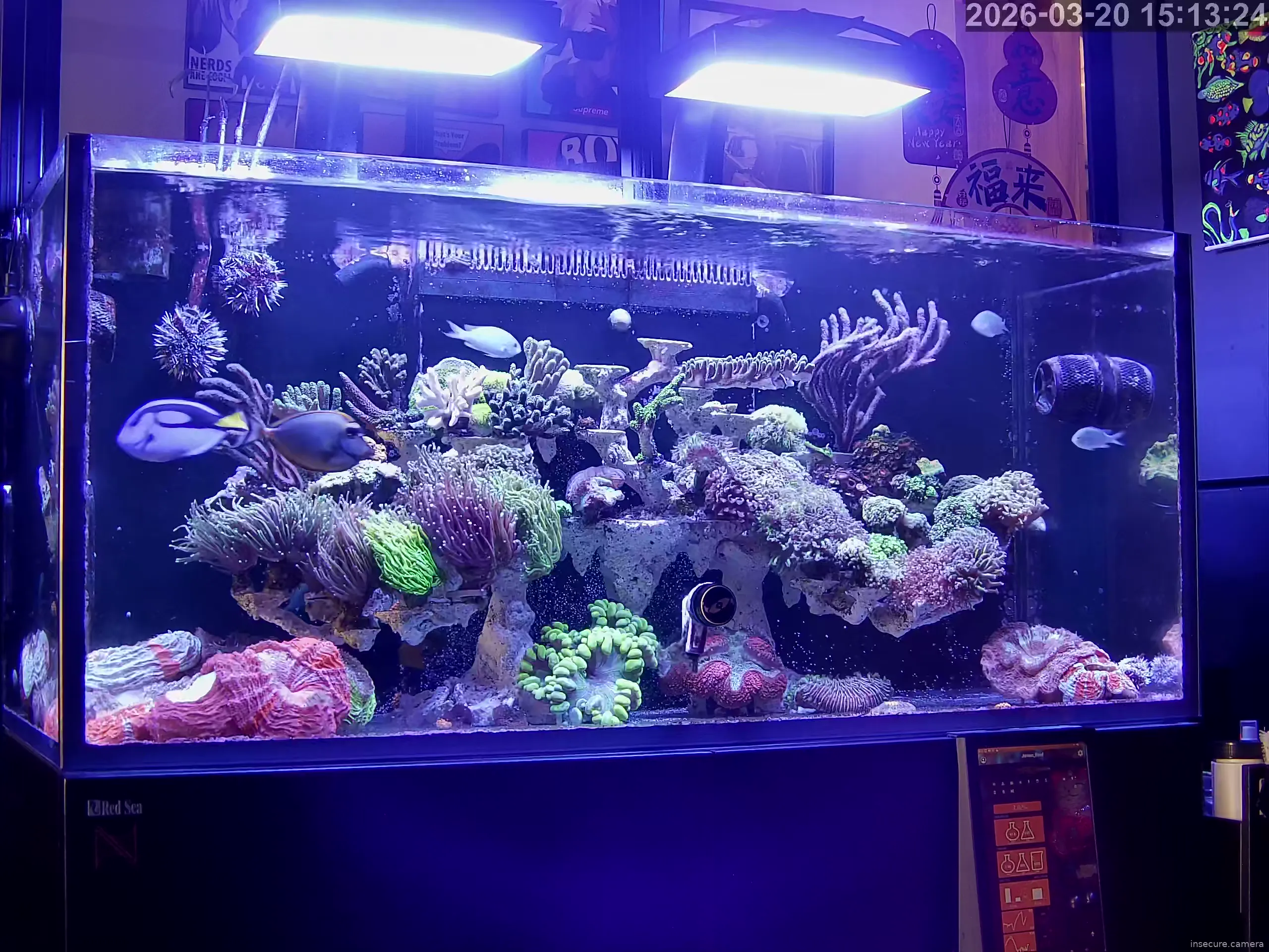 Capture from Mar 20, 2026 at 07:13 AM