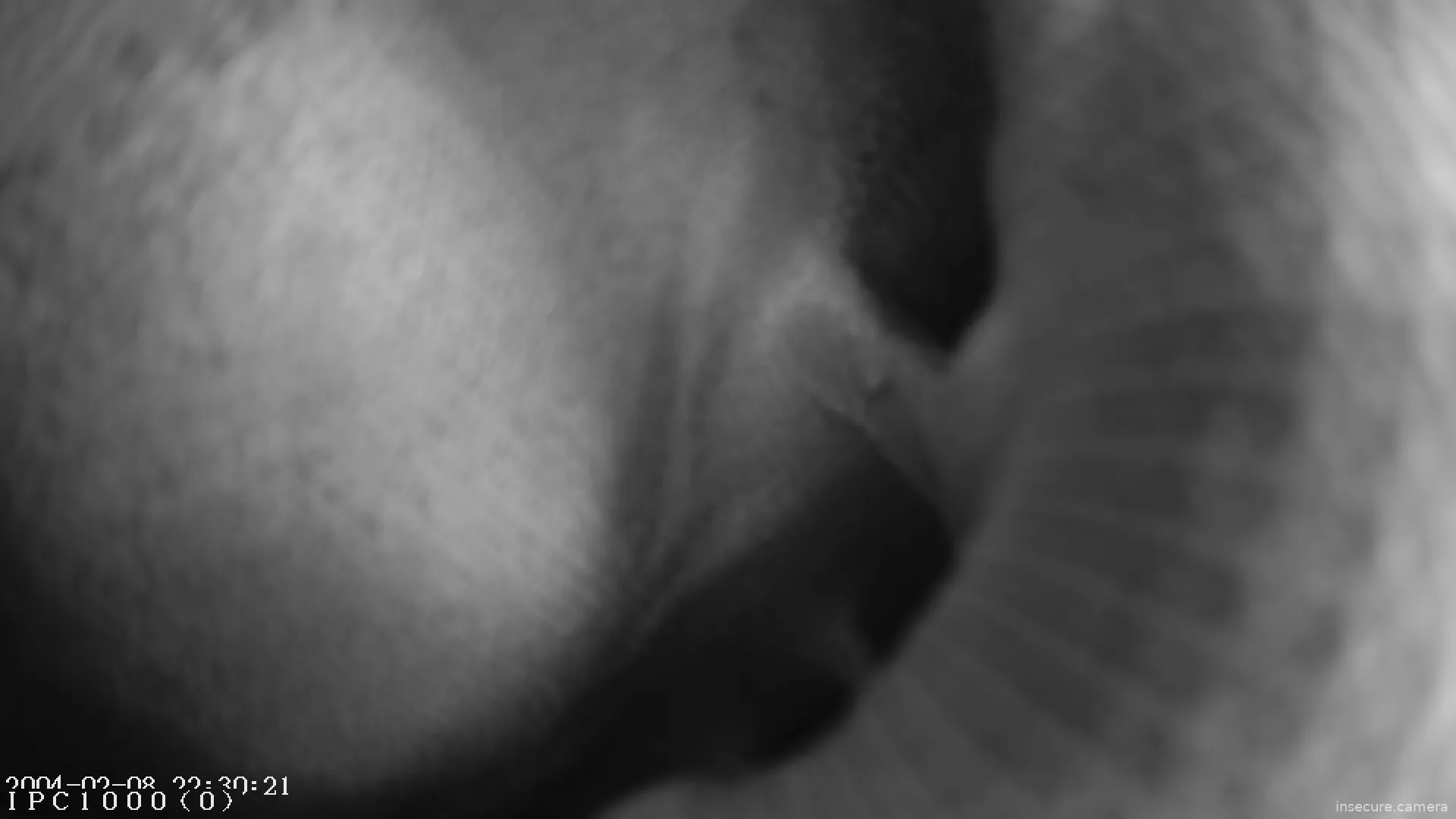 Capture from Mar 20, 2026 at 09:51 PM