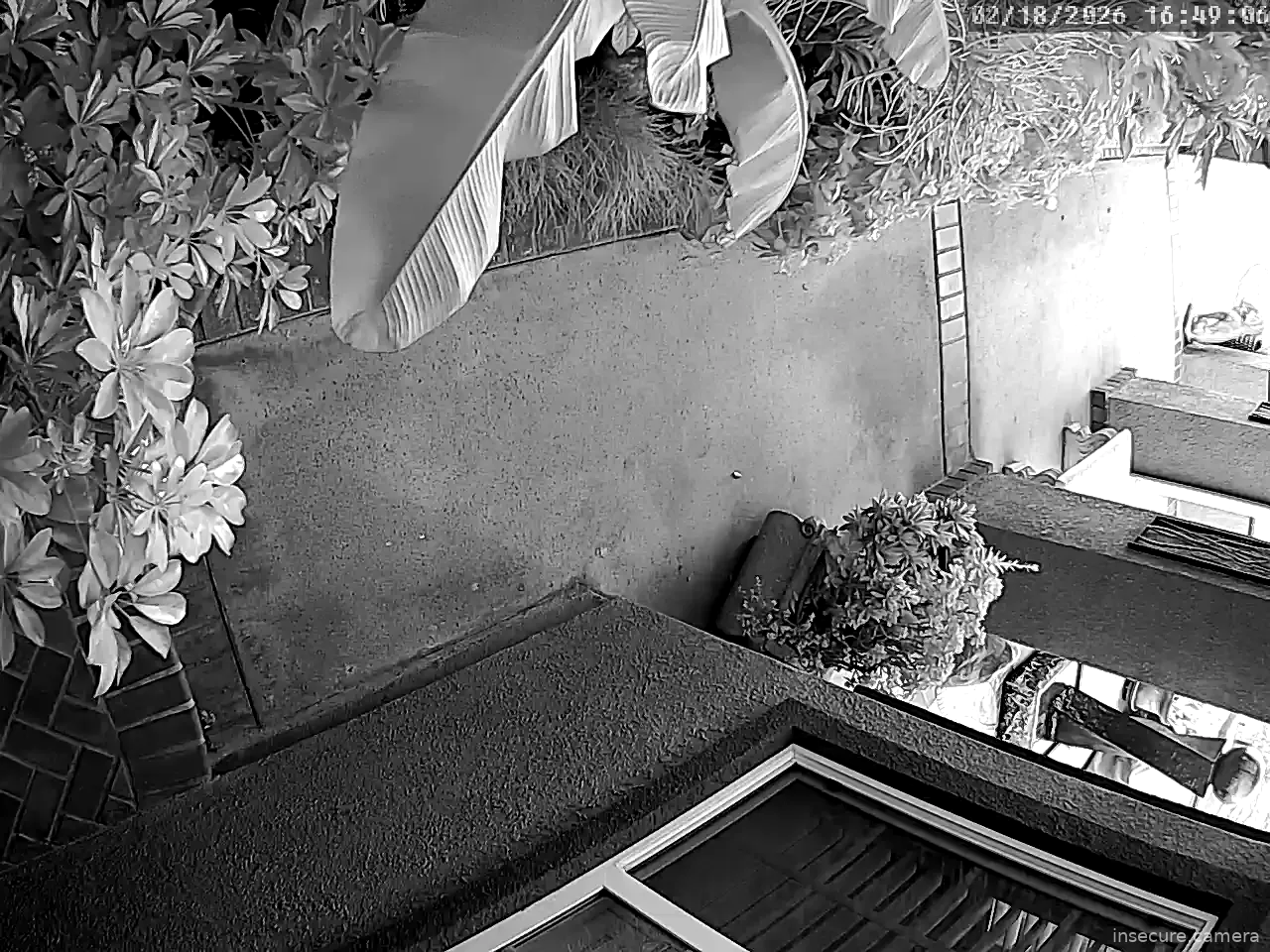 Capture from Feb 19, 2026 at 12:49 AM