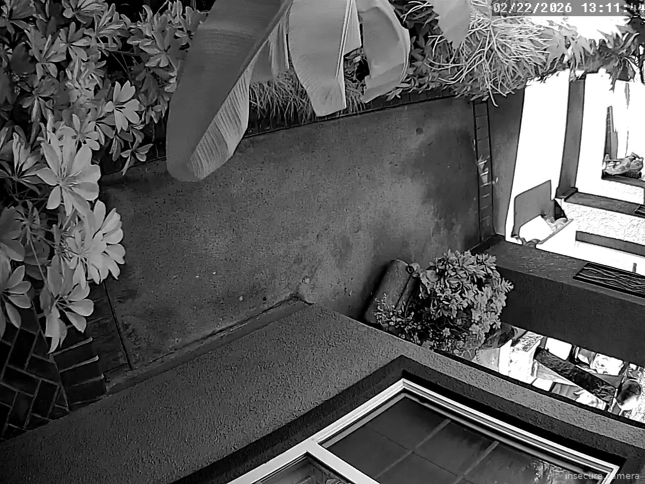 Capture from Feb 22, 2026 at 09:12 PM