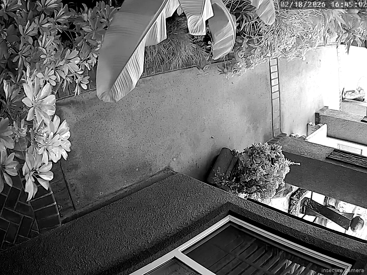 Capture from Feb 19, 2026 at 12:45 AM