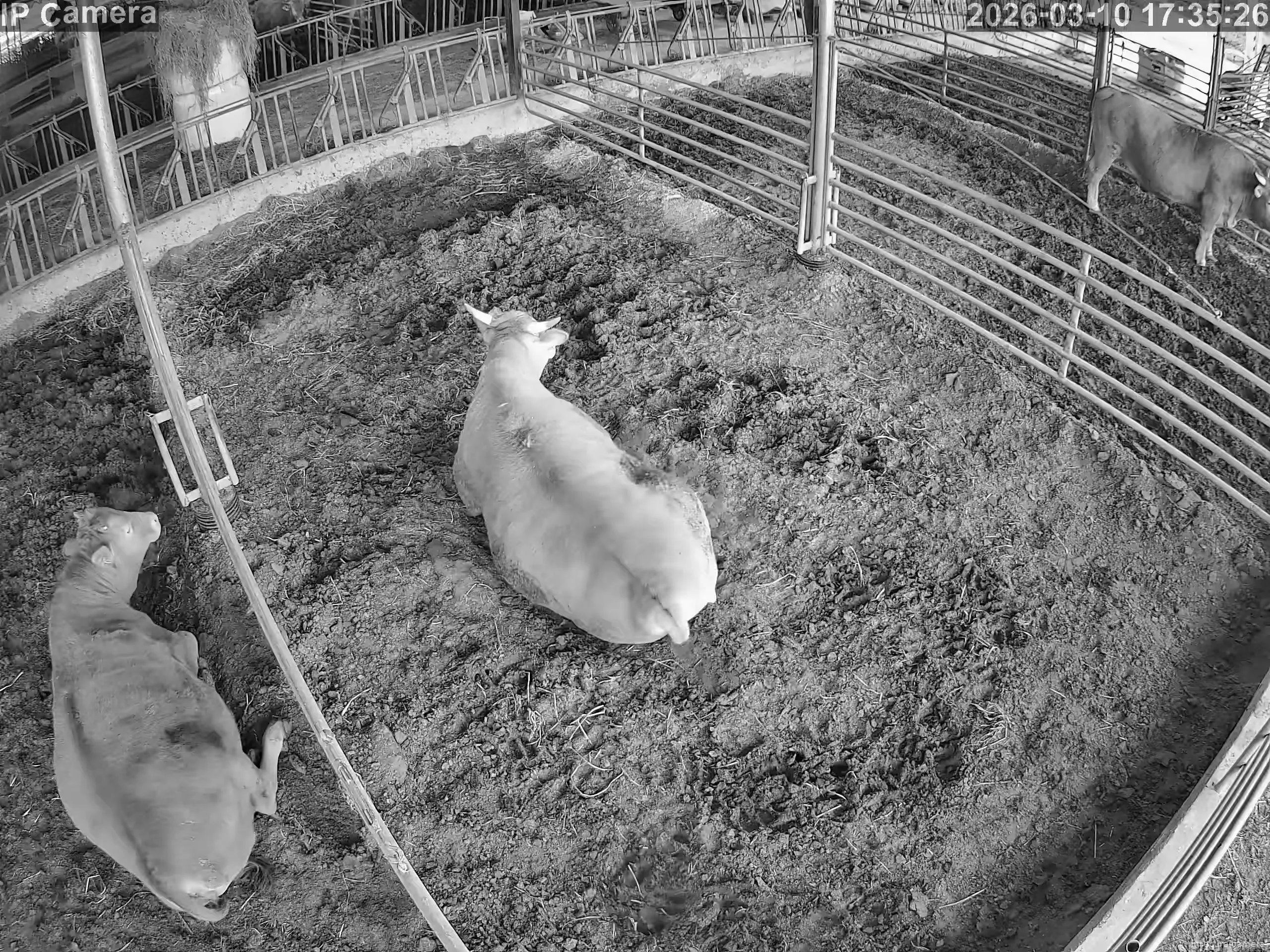 Capture from Mar 10, 2026 at 08:35 AM