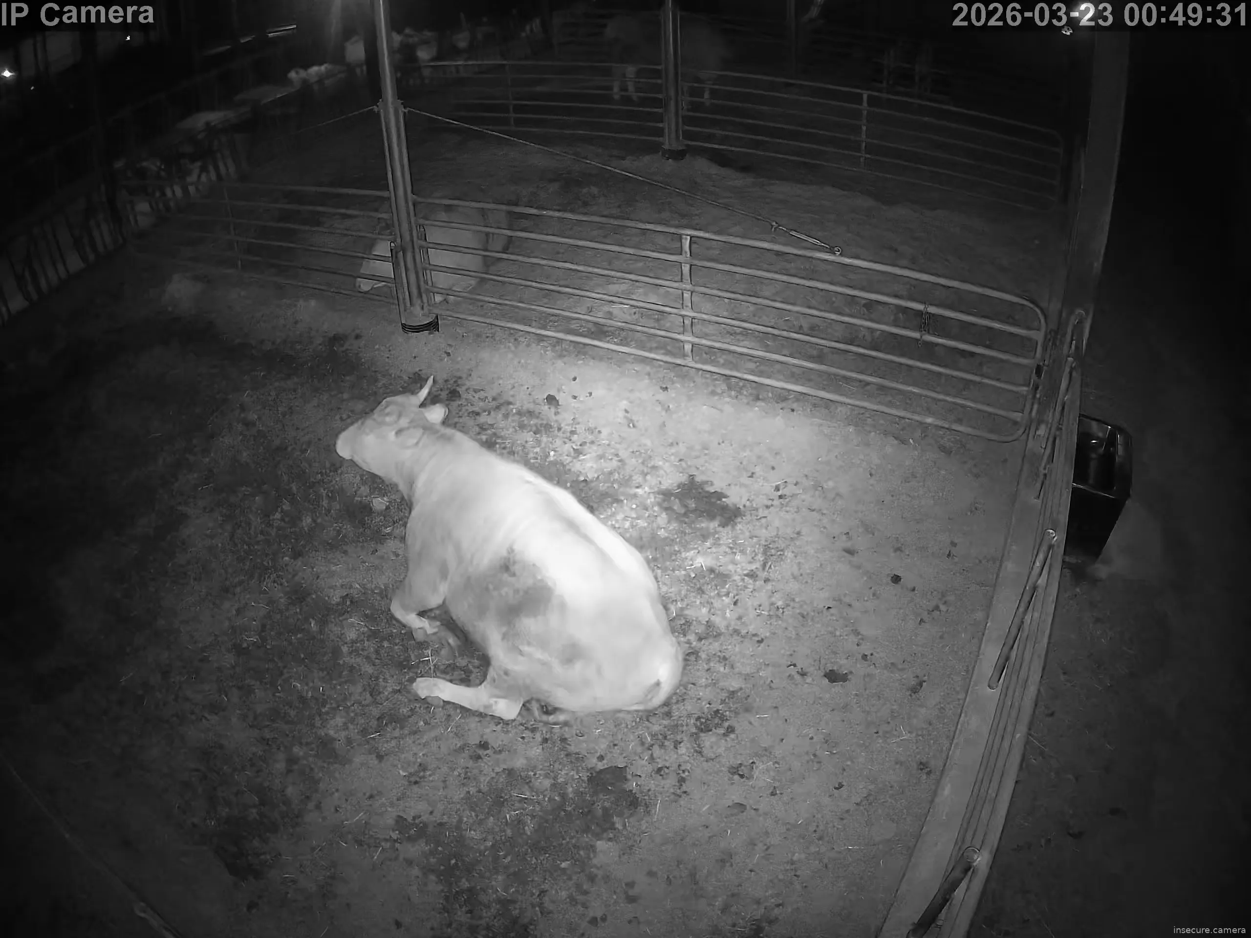 Camera in South Korea