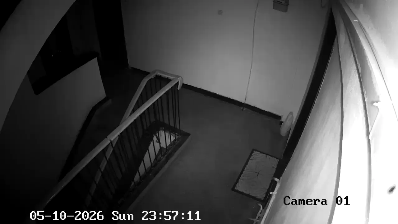 Camera in Romania