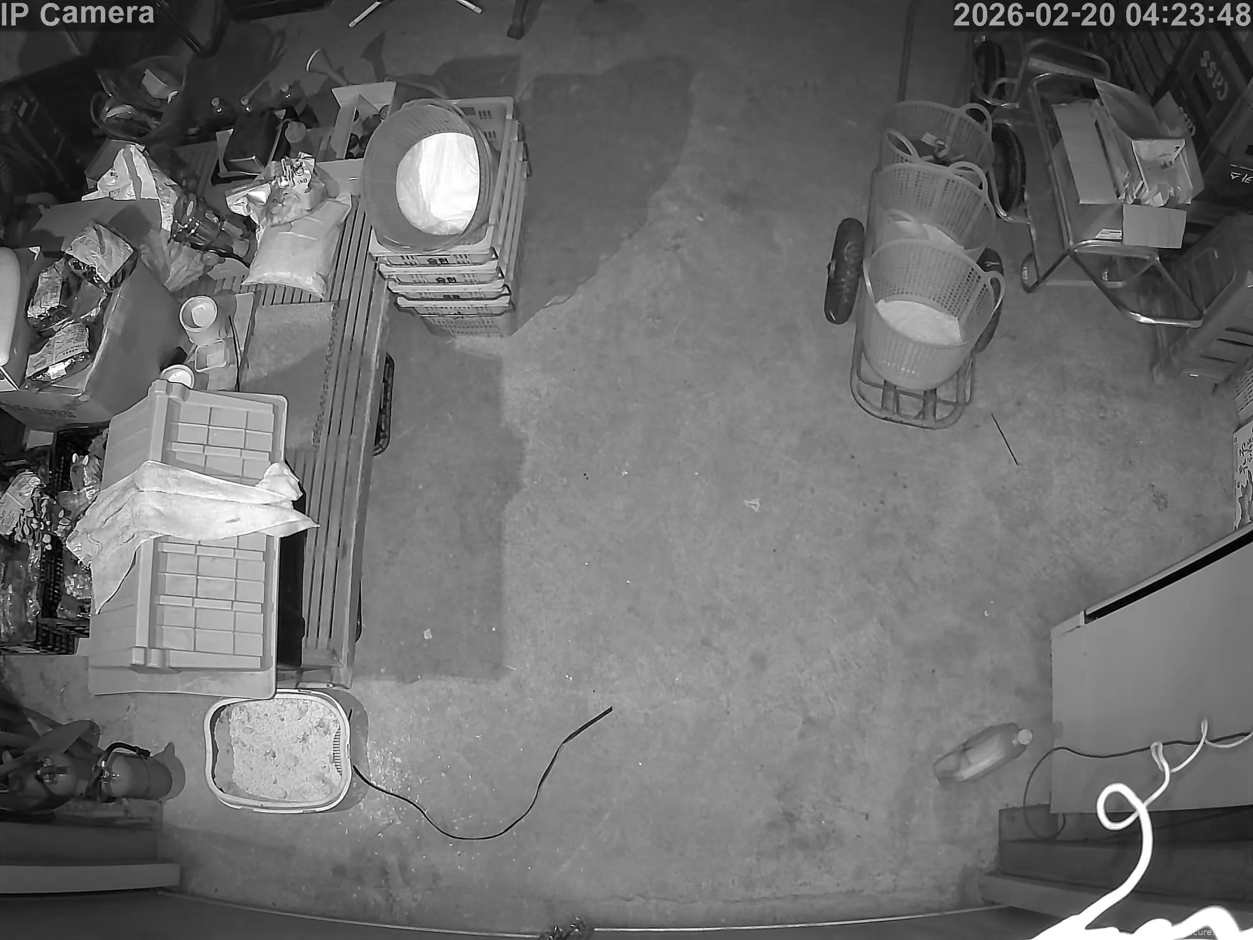 Capture from Feb 19, 2026 at 07:25 PM