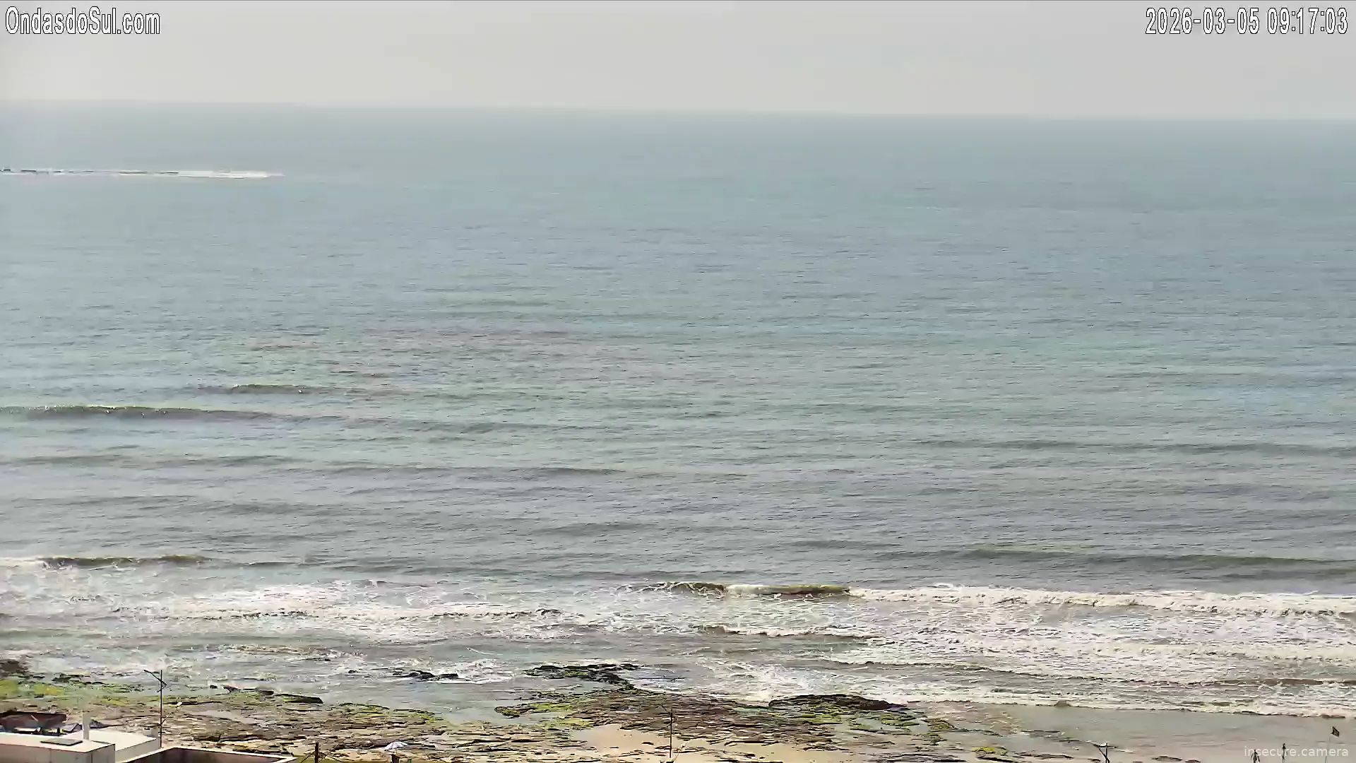 Capture from Mar 05, 2026 at 12:17 PM