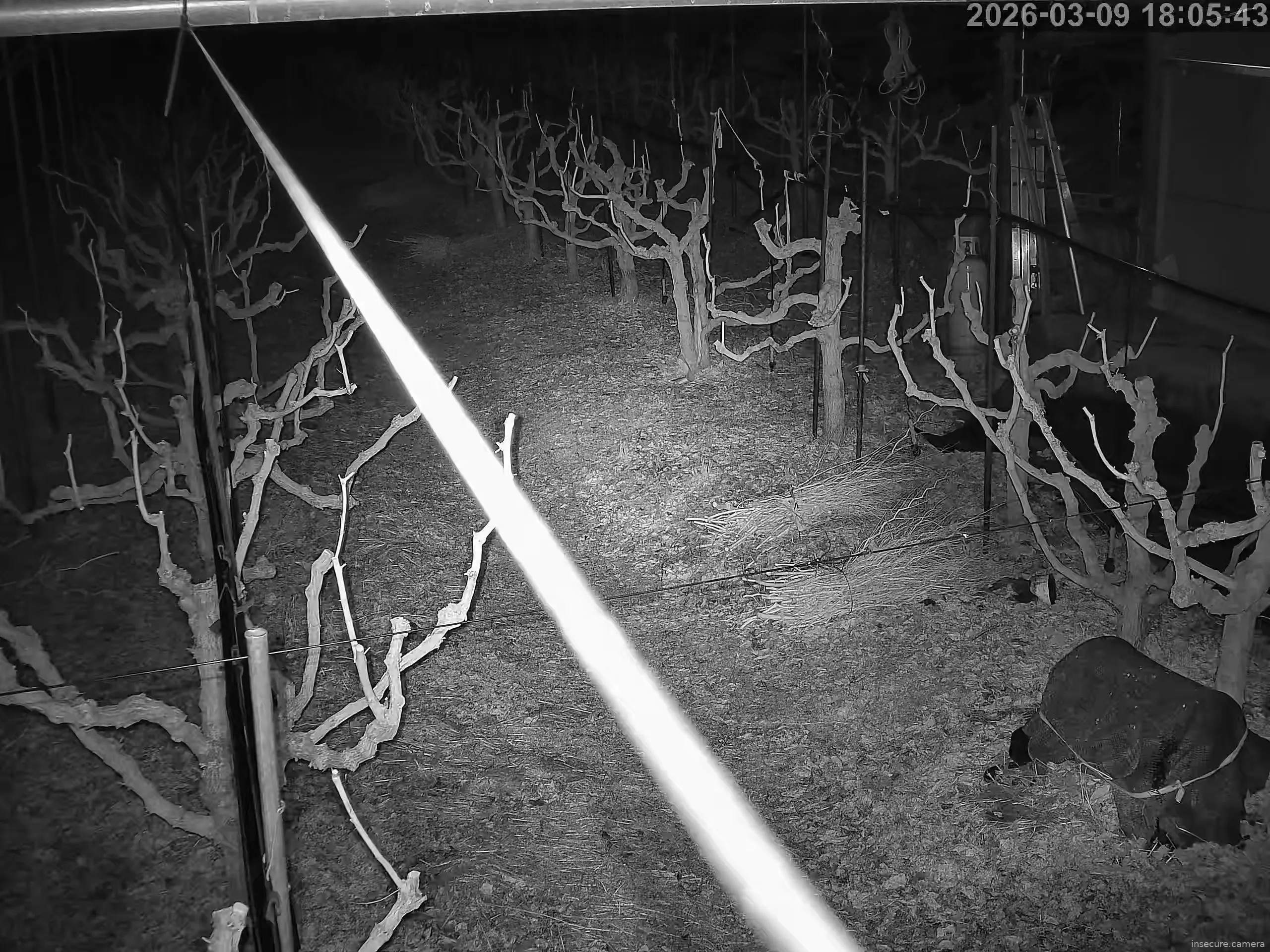 Camera in South Korea