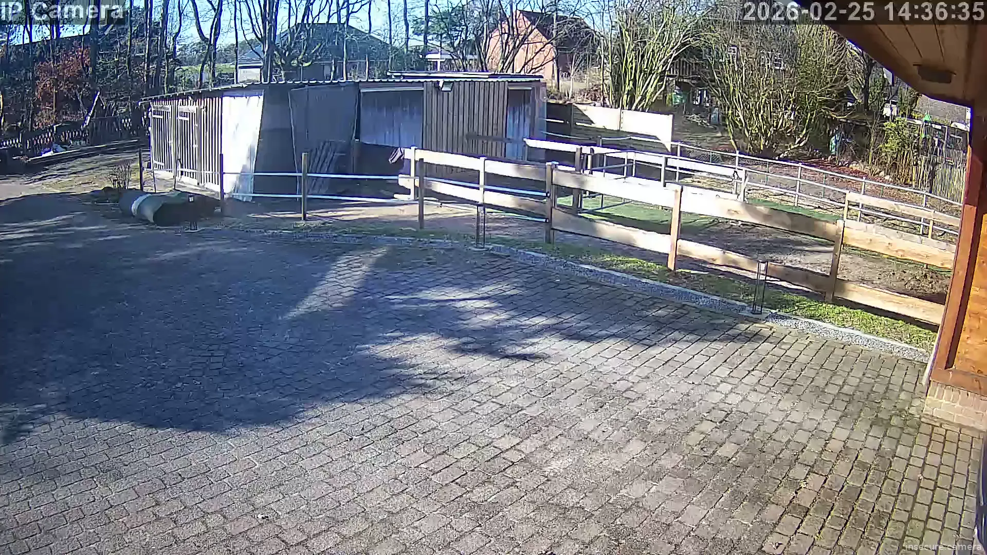 Capture from Feb 25, 2026 at 01:36 PM