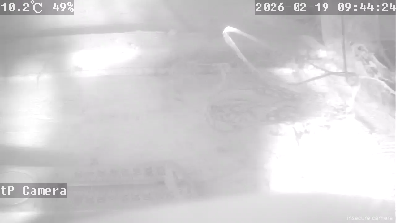 Capture from Feb 19, 2026 at 01:44 AM