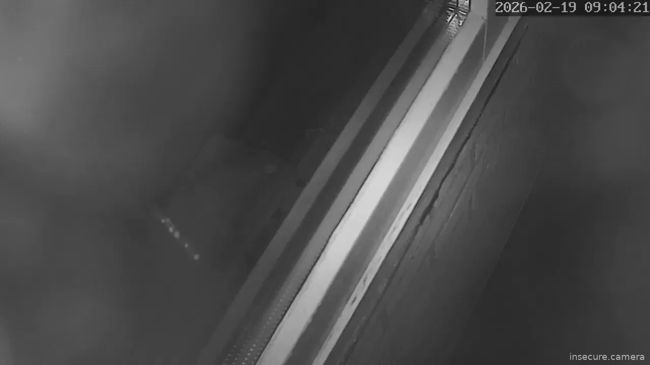 Capture from Feb 19, 2026 at 01:04 AM