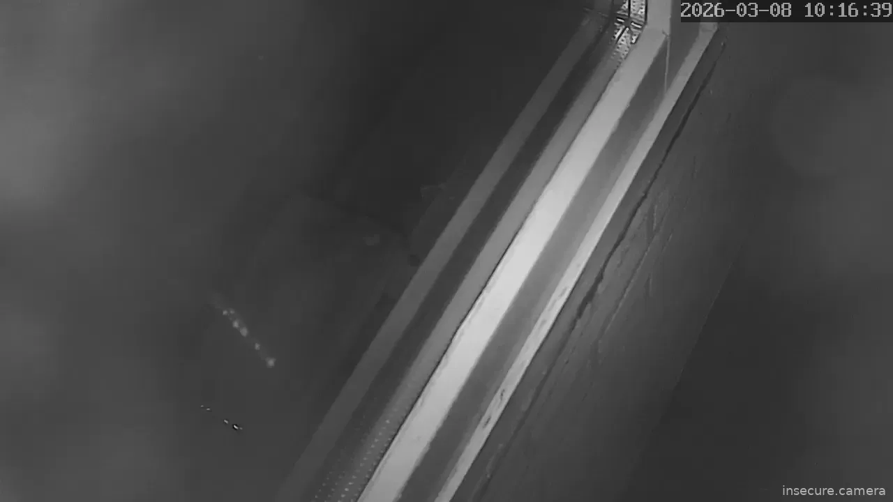 Capture from Mar 08, 2026 at 02:16 AM