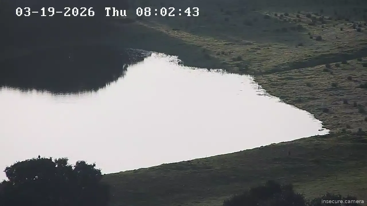 Capture from Mar 19, 2026 at 07:02 AM