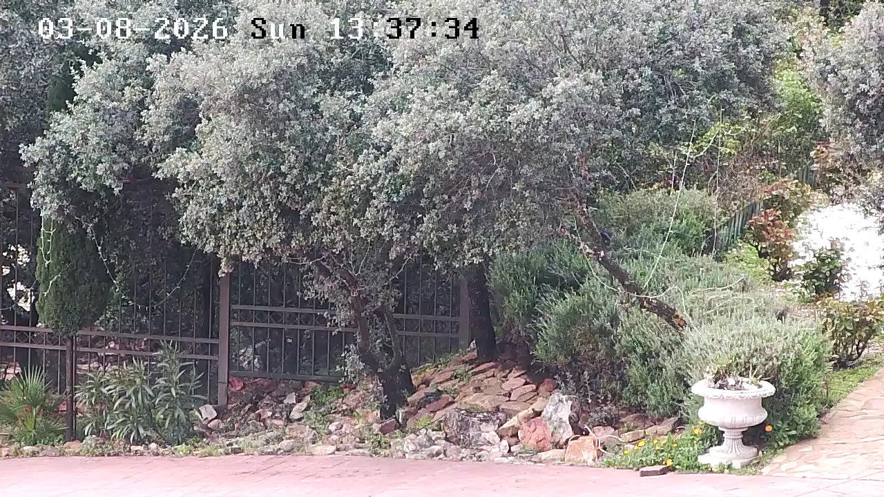 Capture from Mar 08, 2026 at 12:37 PM