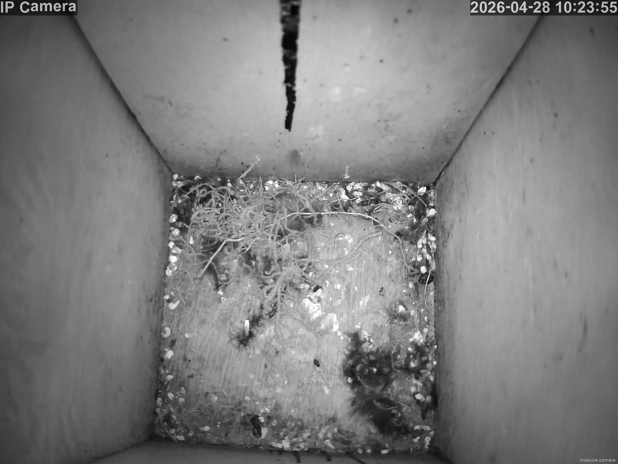 Capture from Apr 28, 2026 at 02:24 AM