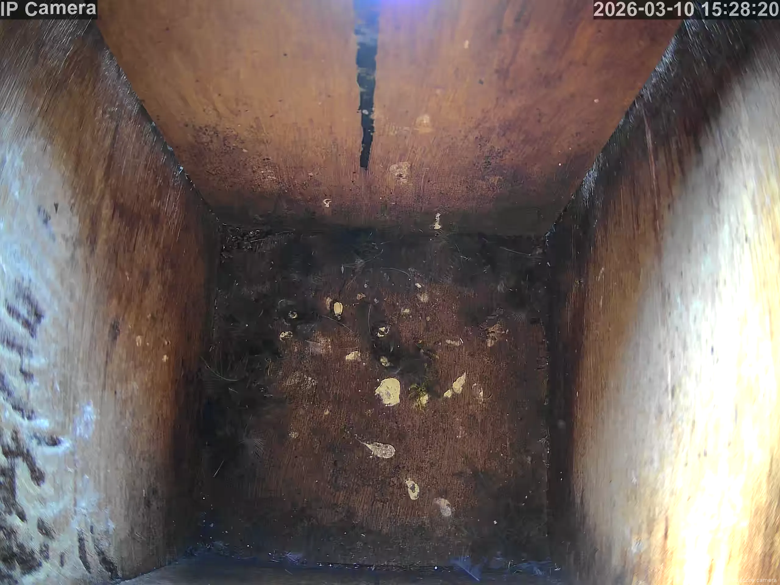 Capture from Mar 10, 2026 at 07:28 AM