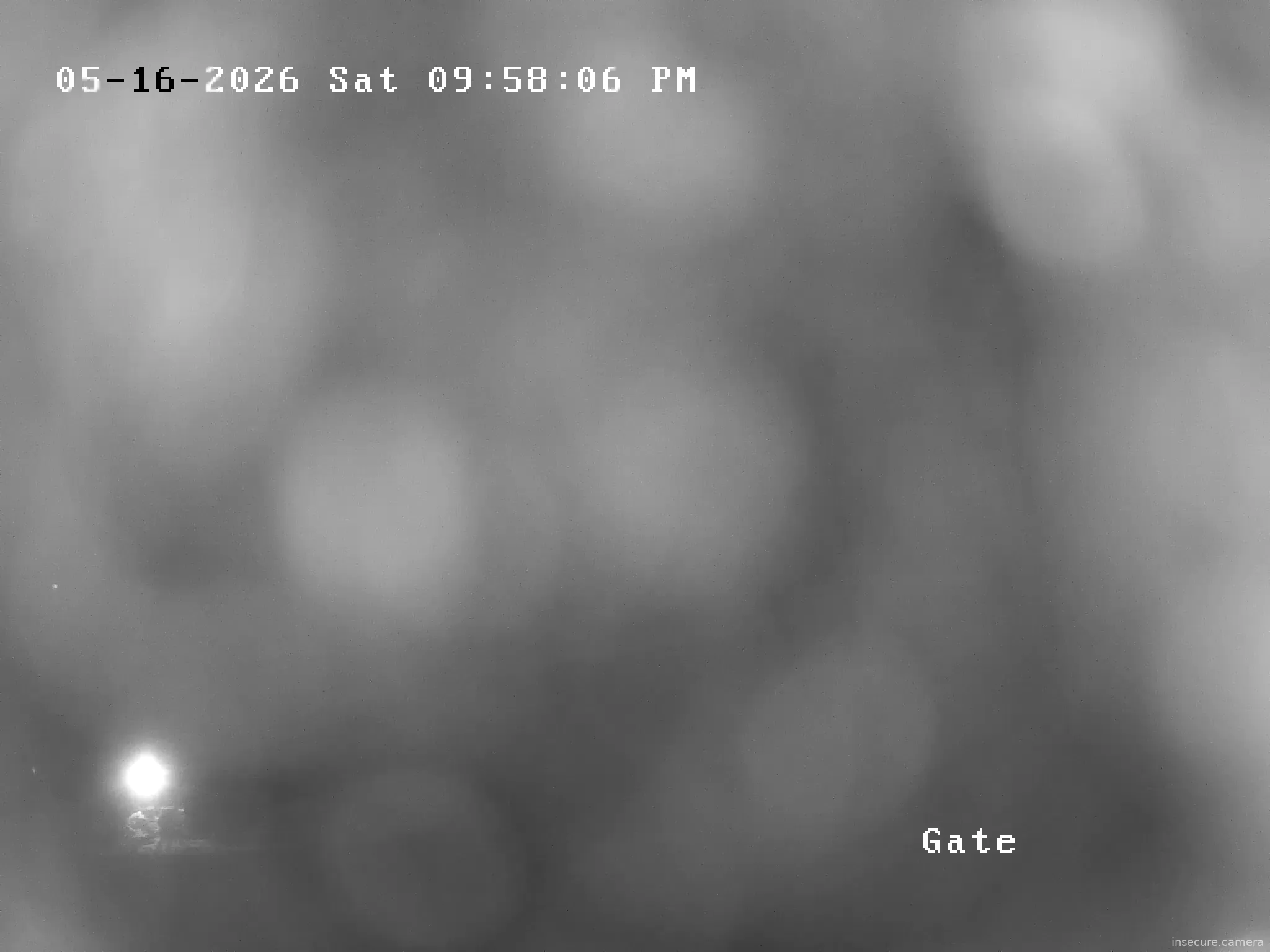 Camera in Canada
