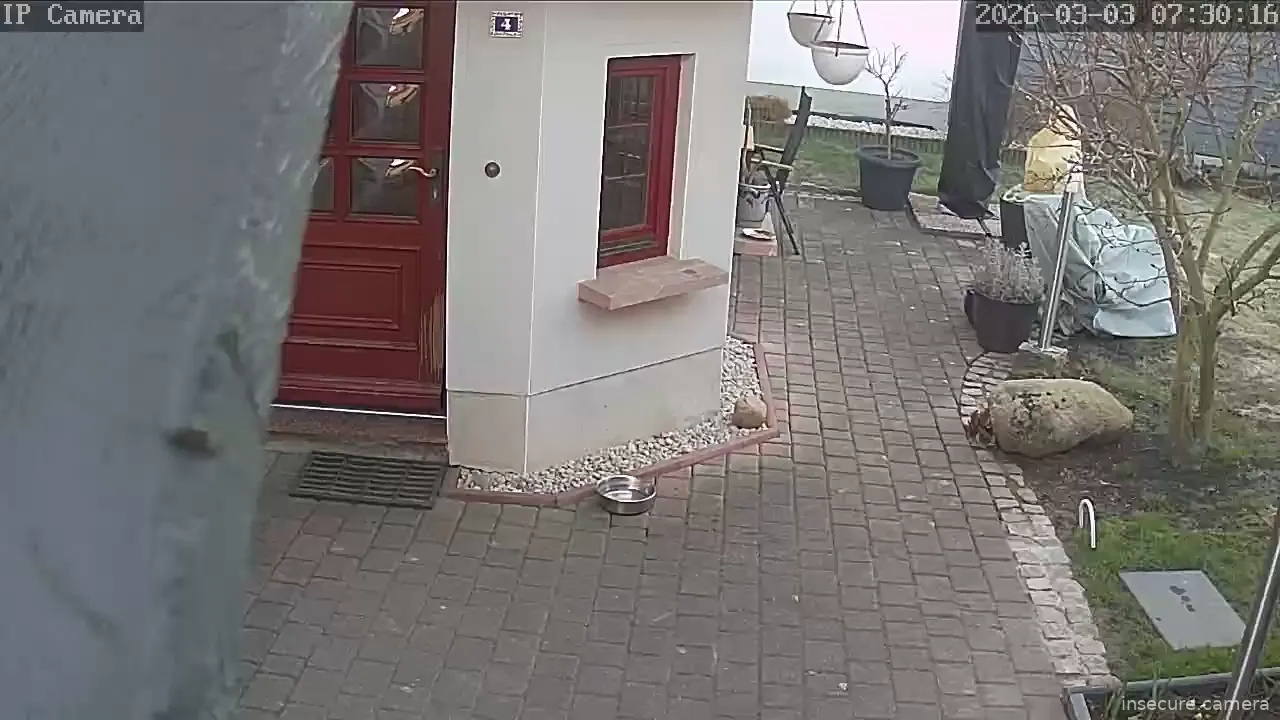 Capture from Mar 03, 2026 at 06:30 AM