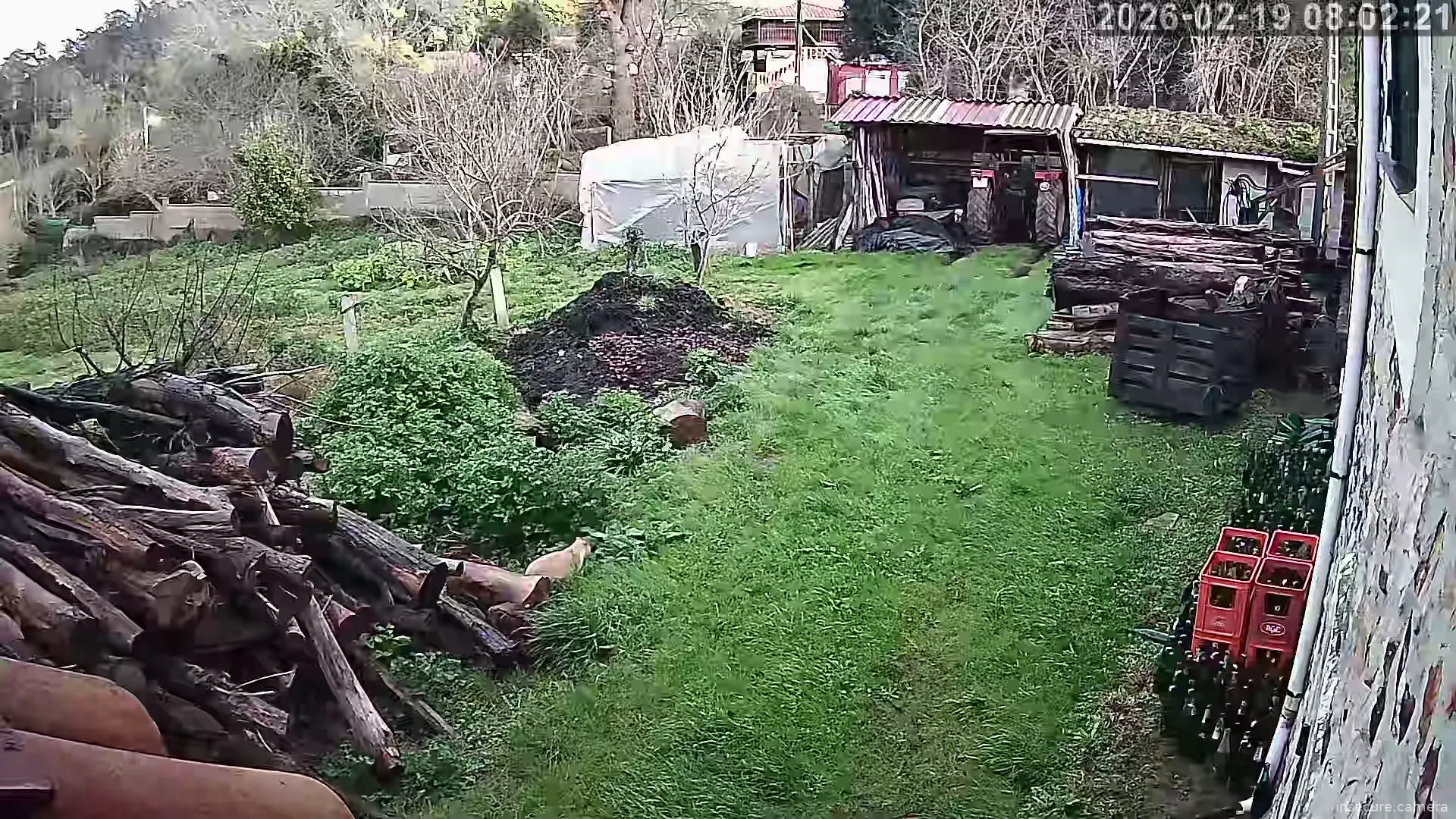 Capture from Feb 19, 2026 at 07:02 AM