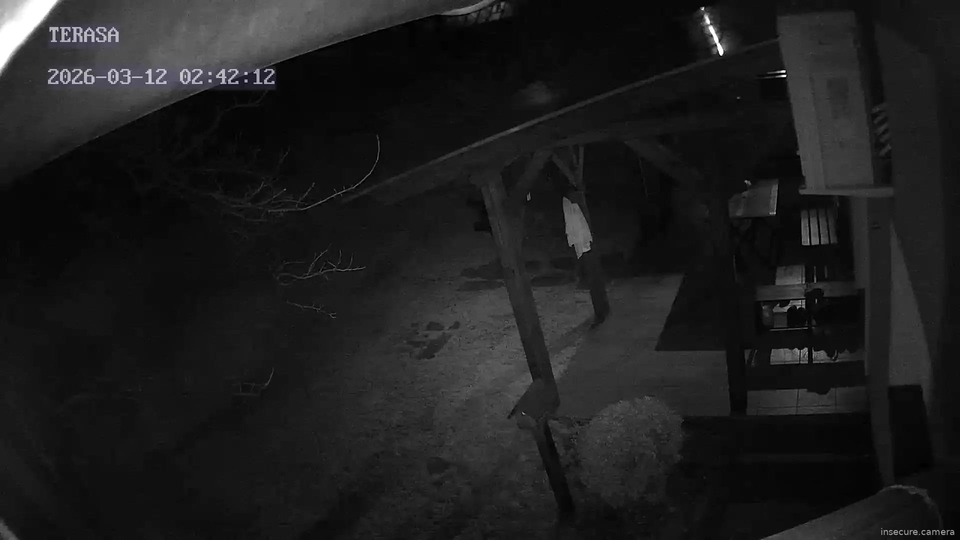 Capture from Mar 12, 2026 at 01:42 AM